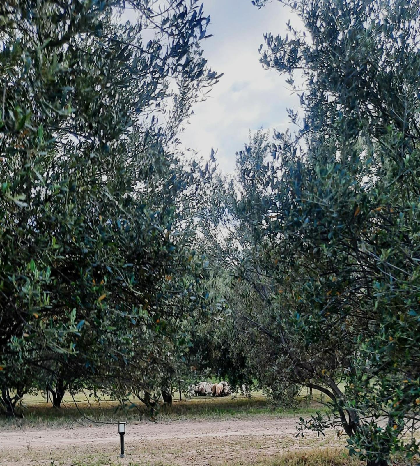 Finca La Calma San Rafael  Exterior photo